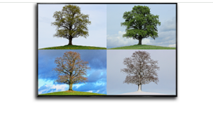 4 Seasons Porcelain Wall Art with Clock (70x100 cm)